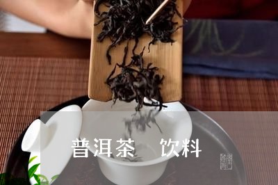 普洱茶 饮料/2023042866330